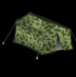 campeur40